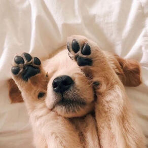 ♡